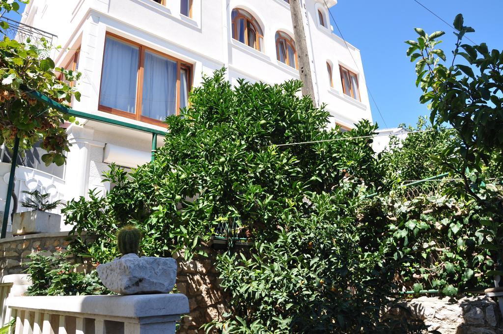 Villa Segetski Dvori - Tradition Since 1964 Donji Seget Exterior foto